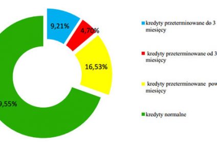 Naga prawda o SKOK-ach