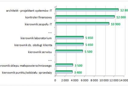 Kierownik najwięcej zarobi w IT i ubezpieczeniach