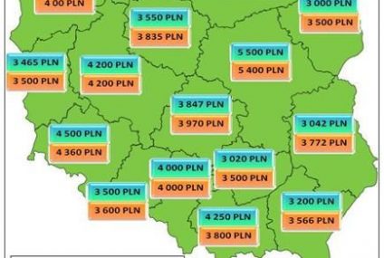 Czy po 50. roku życia można dobrze zarobić?