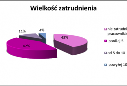 Małe firmy wyciągają gospodarkę z kryzysu