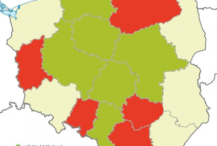 Gdzie jest największe ryzyko kolizji z pojazdem bez OC