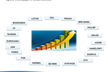 "Nordea Gwarant - Polskie Ożywienie" - struktura oparta o Indeks 20 największych polskich spółek