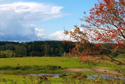 Wakacyjny wypad na działkę? Tylko Mazury!