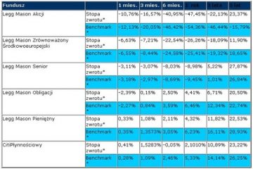 Legg Mason TFI: Wyniki na koniec lutego 2009 Legg Mason TFI: Wyniki na koniec lutego 2009