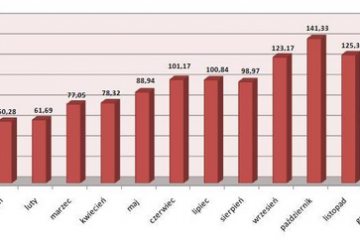 DK Notus: Wyniki sprzedaży kredytów hipotecznych w 2009 roku