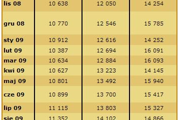 Linie kredytowe w koncie mają się dobrze