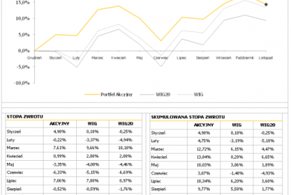 Asset Management - wyniki za listopad 2010 r.