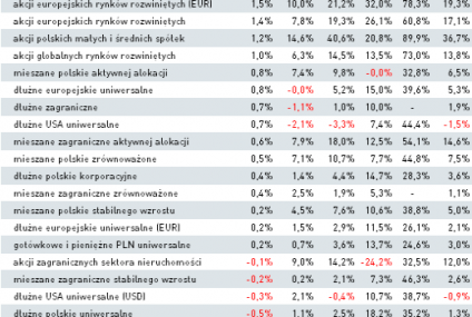 Wyniki funduszy inwestycyjnych - listopad 2013