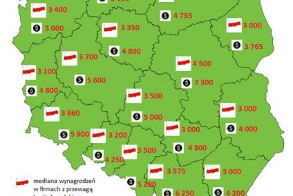 Polskie firmy płacą o 40% mniej niż zagraniczne