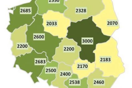 Ile dla sekretarki, ile dla referenta - czyli płace w zawodach biurowych