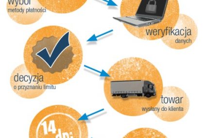FerBuy - internetowy system płatności buy now, pay later