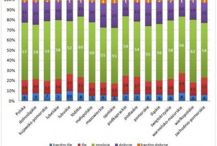 Jak Polacy oceniają swoją sytuację materialną?