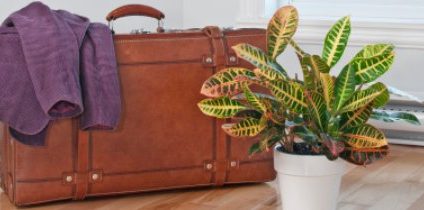 Wynajem mieszkań nawet o 20% tańszy niż rok temu