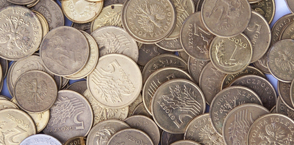 Polacy słabi w oszczędzaniu: Unię dogonimy dopiero za 27 lat