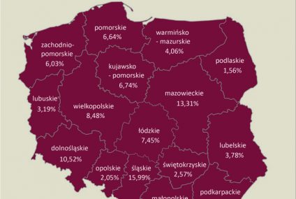 Dłużna jesień życia