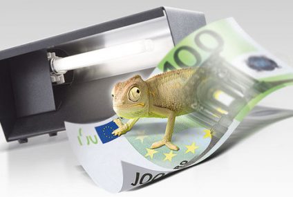 Boże Narodzenie? Uważaj na fałszerzy pieniędzy i złodziei tożsamości