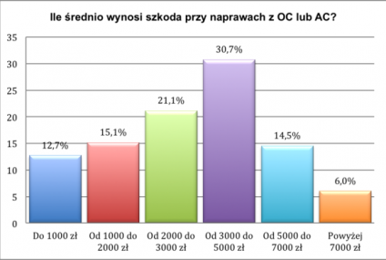Raport "Polak w warsztacie"