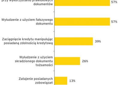 W pierwszej połowie 2014 mogło dojść do wyłudzenia ponad miliarda zł kredytów detalicznych