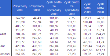 Bardziej zróżnicowane wyniki deweloperów w 2010 roku
