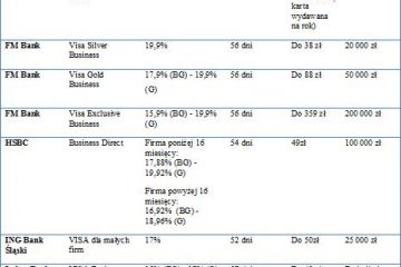 Karty kredytowe dla MSP