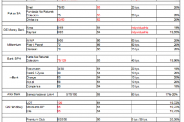 Karty partnerskie – zabezpieczenie finansowe i dodatkowe profity