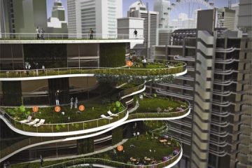 Trendy w ogrodnictwie – raport