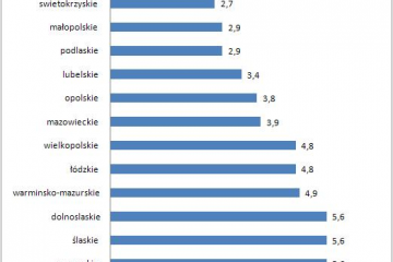 Największe ryzyko pożyczenia pieniędzy jest w Olsztynie i Katowicach