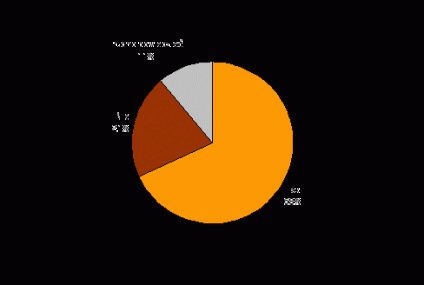 Wydatki na samochód w dół?