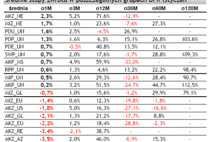 Podsumowanie miesiąca na rynku UFK (styczeń 2010)