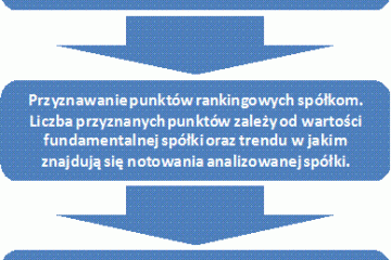 Analiza struktury Aviva Gwarancja Akcje Europejskie