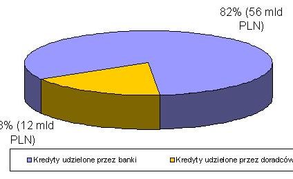 Plany Związku Firm Doradztwa Finansowego na rok 2009