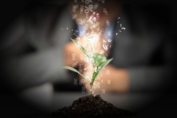 RPP nie zmieniła stóp procentowych