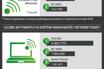 Polska bankowość w liczbach [infografika] – rok 2013