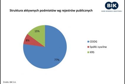 BIK analizuje kredyty mikroprzedsiębiorstw