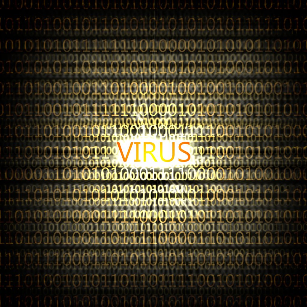 wirus, virus