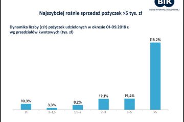 BIK: Najszybciej rośnie sprzedaż pożyczek powyżej kwoty 5 tys. zł