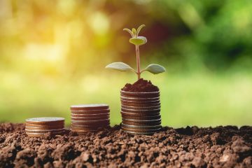 Nationale-Nederlanden PTE w ewidencji PPK, pokazuje ofertę