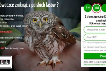 BLIK wprowadza płatność z banera reklamowego