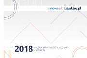 Polska bankowość w liczbach – IV kw. 2018 [Raport]