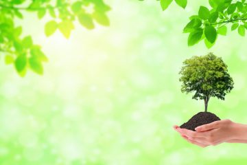 BNP Paribas pomoże sfinansować wymianę starych pieców na nowe i ekologiczne. Bank angażuje się w program Czyste Powietrze