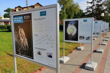 Śmieciowe „skarby Bałtyku” na wystawie w nadmorskich kurortach