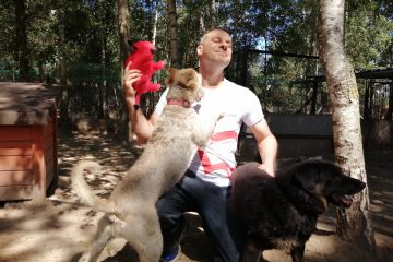 Pół miliona złotych od Grupy PZU dla bezdomnych zwierząt Pół miliona złotych od Grupy PZU dla bezdomnych zwierząt