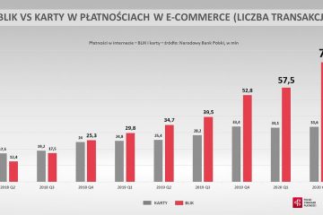 Prawie 9 mld zł – tyle Polacy wydali Blikiem w internecie w II kwartale 2020 roku