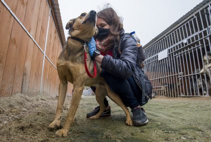 Wolontariusze Banku Pekao mimo pandemii niosą pomoc lokalnym społecznościom