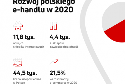 W Polsce mamy o 1/5 więcej sklepów internetowych niż rok temu, ich liczba wynosi już ponad 44 tys.