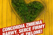Rusza kampania „Concordia zmienia barwy”