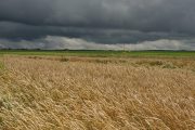 Nowości w Generali Agro Ekspert