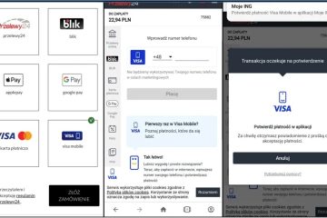Sprawdziłem, jak zrobić zakupy z Visa Mobile. Nad Blikiem ma ważną przewagę Sprawdziłem, jak zrobić zakupy z Visa Mobile. Nad Blikiem ma ważną przewagę