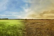 Jak banki i ich klienci odczują zmiany klimatyczne?