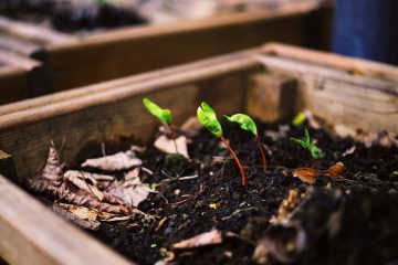 ING Lease i Żabka Polska podpisały pierwszą Generalną Umowę Leasingu opartą na realizacji celów zrównoważonego rozwoju ING Lease i Żabka Polska podpisały pierwszą Generalną Umowę Leasingu opartą na realizacji celów zrównoważonego rozwoju